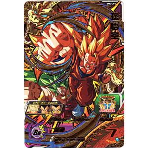 孫悟空[CP／BM3-CP1]