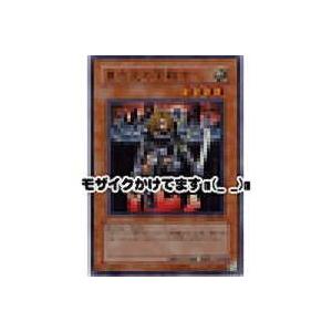 異次元の女戦士[スーパー／304]