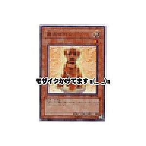 迷犬マロン[ノーマルレア／305]