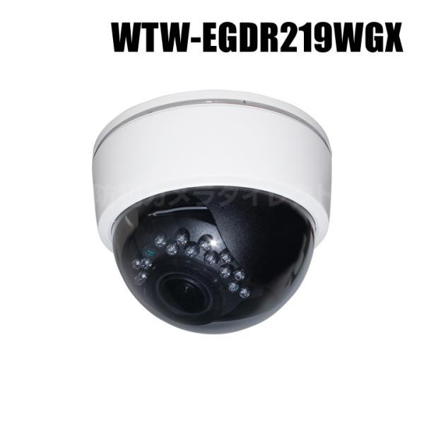 500万画素 機器間Wi-Fi対応IPネットワークシリーズ 屋内仕様 赤外線ドームカメラ（代引不可・...