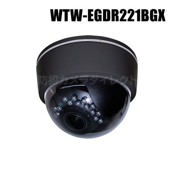 500万画素 機器間Wi-Fi対応IPネットワークシリーズ 屋内仕様 赤外線ドームカメラ（代引不可・...