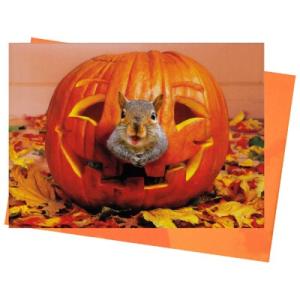 ハロウィン かぼちゃ レター カード の商品一覧 文具 ステーショナリー キッチン 日用品 文具 通販 Yahoo ショッピング