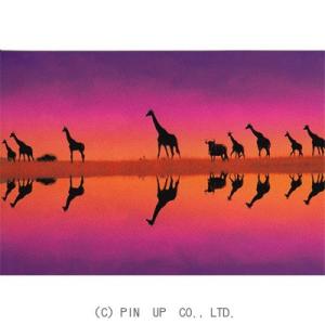 l Pictorial Network キリン ゾウ 動物のポストカード Yahoo ショッピング