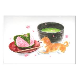 桜餅 イラストの商品一覧 通販 Yahoo ショッピング