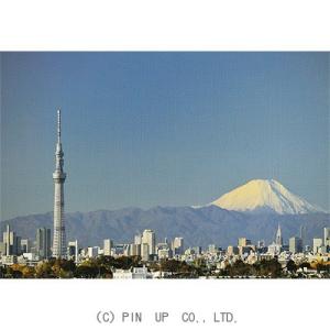 ポストカード【風景】東京スカイツリーと右に富士山 　横　(pin-TY67)