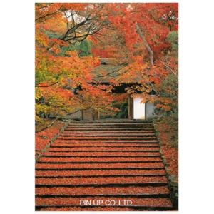 l Pictorial Network 京都 日本の風景 Yahoo ショッピング