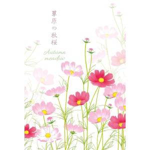 コスモス イラストの商品一覧 通販 Yahoo ショッピング