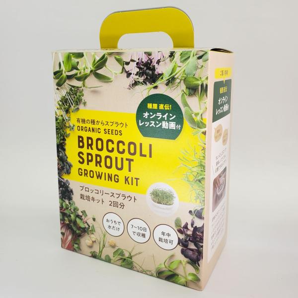 ブロッコリースプラウト グリーンフィールドプロジェクト 有機  栽培キット ホワイト 2袋入 園芸用...