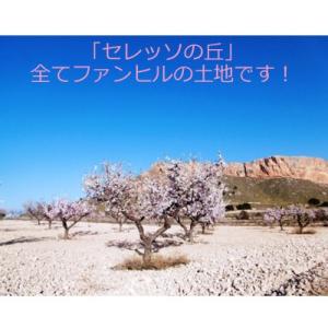 赤ワイン スペイン ファン・ヒル クアトロ・メ...の詳細画像2