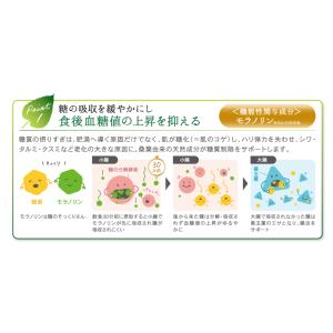 桑の葉美人青汁 50包 外箱折りたたんで発送 ...の詳細画像3