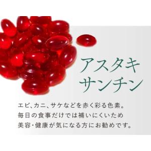 ワコナルビューティー プレミアム 1箱 100...の詳細画像3