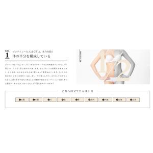 H.Rプロテイン 贅沢ベリー 風味 500g ...の詳細画像3