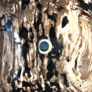 洗面ボウル 珪化木 Petri Fied Wo...の詳細画像5