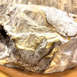 洗面ボウル 珪化木 Petri Fied Wo...の詳細画像4