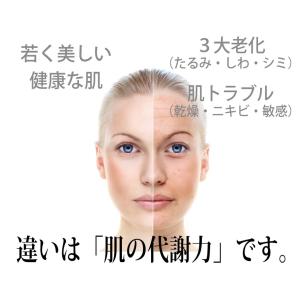 BDOT セット ホームエステ化粧品 美容オイ...の詳細画像2
