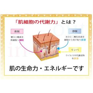 BDOT セット ホームエステ化粧品 美容オイ...の詳細画像3