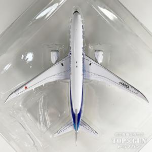 B787-8 ANA 全日空 787ロゴ 完成...の詳細画像5