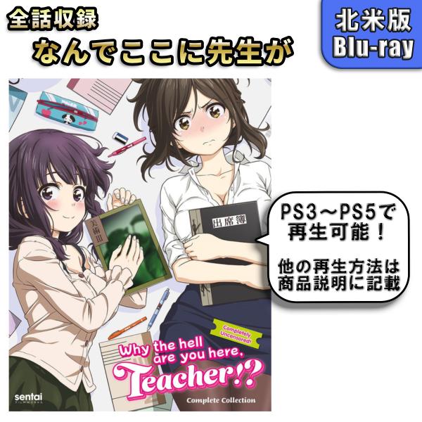 なんでここに先生が 北米版ブルーレイ Blu-ray