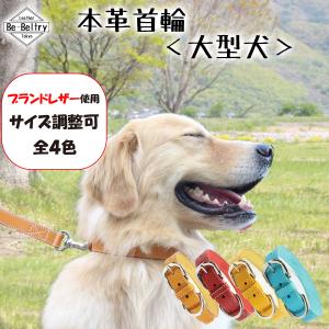 首輪 犬 本革 大型犬 幅24mm 赤 青 黄 キャメル色 首回り〜60cm対応