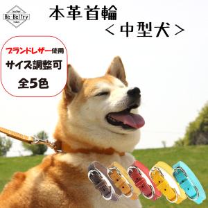犬 首輪 レザー 本革 中型犬 幅21mm 赤 青 黄 キャメル色 首回り32