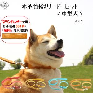 BeーBeltry 犬 首輪 レザー 本革 中型犬 幅21mm 赤 青 黄 キャメル色