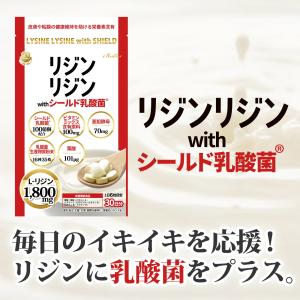 正規品】【送料無料】PYR FILING PLUS パイラ ファイリング プラス 45