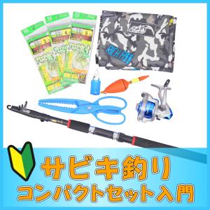 お買得品 ZAPPY わくわく投げサビキセット ZP-031 (サビキ仕掛け
