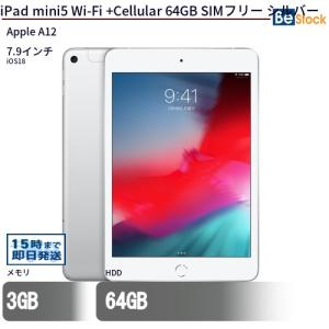 中古 タブレット iPad mini5 Wi-Fi +Cellular 64GB 本体 7.9インチ iPadOS Apple アップル 6ヶ月保証