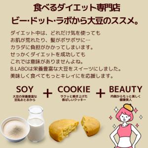 夏の豆乳おからクッキー 1kg ダイエット ク...の詳細画像4