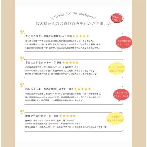 おからクッキー 訳あり 大量 ソイリッチ 大豆...の詳細画像4