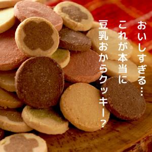 お試し 冬の豆乳おからクッキー 180g 10...の詳細画像1