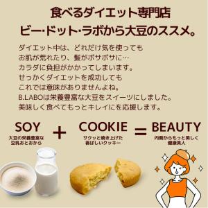 お試し 冬の豆乳おからクッキー 180g 10...の詳細画像3