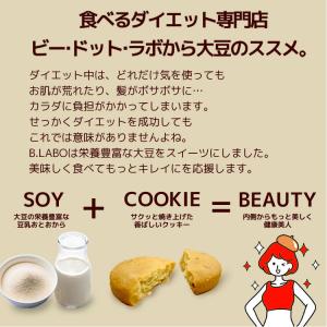 おからクッキー 訳あり 500g トリプルダイ...の詳細画像4
