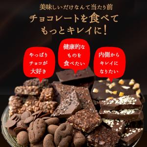 シュガーレスチョコになった お試し ずるいチョ...の詳細画像4
