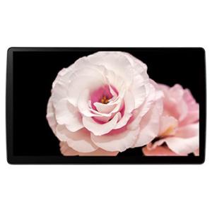 【新品】パナソニック ストラーダ F1X PREMIUM10 CN-F1X10BGD カーナビ