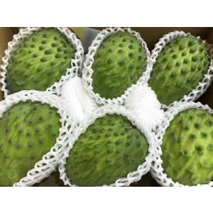 アテモヤ　 森のアイスクリーム 約1キロ　　約３個から７個入り　沖縄産　　全国　