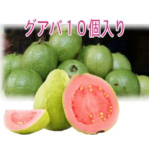グアバ１０個入り 赤　グァバ　沖縄産　ビタミンC豊富　　全国送料無料　