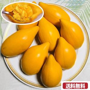 カニステル　エッグフルーツ　1キロ　採れたて　沖縄産　　