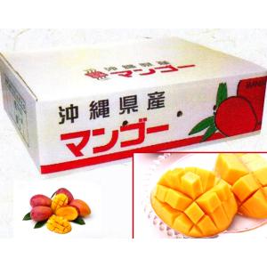 マンゴー 沖縄産 3個から6個 約1.5キロ ...の詳細画像4