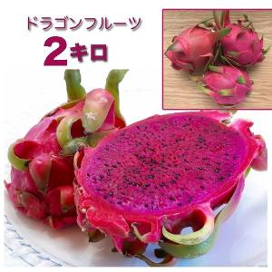 Okinawa マリンブルー 沖縄果物 シークワサー 沖縄菓子 塩 食品 Yahoo ショッピング