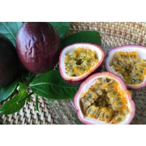 パッションフルーツ　10個入りしわのお買い得パッション　
