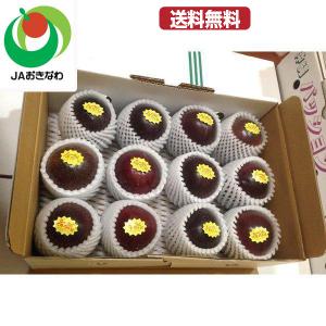 パッションフルーツ JAおきなわ  白箱　贈答用にもok