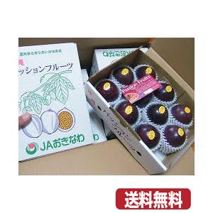 パッションフルーツ JAおきなわ 秀品　約10個入　約１キロ　贈答ＯＫ