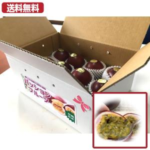 パッションフルーツ　ずっしり大きめ　大　贈答白箱　約 １、３キロ以上　12個〜　沖縄産　
