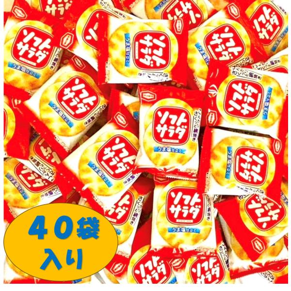 亀田製菓 ２枚ソフトサラダ４０個（１BOX）