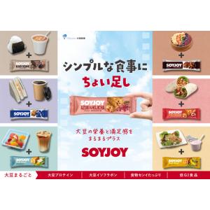 ソイジョイ 選べる48本セットNEW 送料無料の詳細画像2