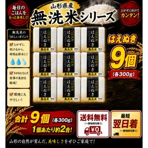 山形県産 無洗米 真空パック (はえぬき) 300ｇ×9個 キューブボックス