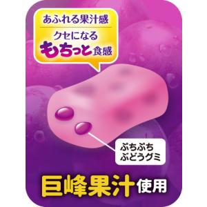 味覚糖 ぷっちょスティック ぶどう 10粒×1...の詳細画像2