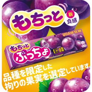 味覚糖 ぷっちょスティック ぶどう 10粒×1...の詳細画像3