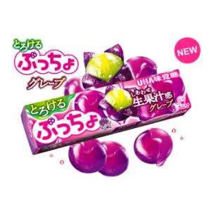 味覚糖 ぷっちょスティック ぶどう 10粒×10個　送料無料